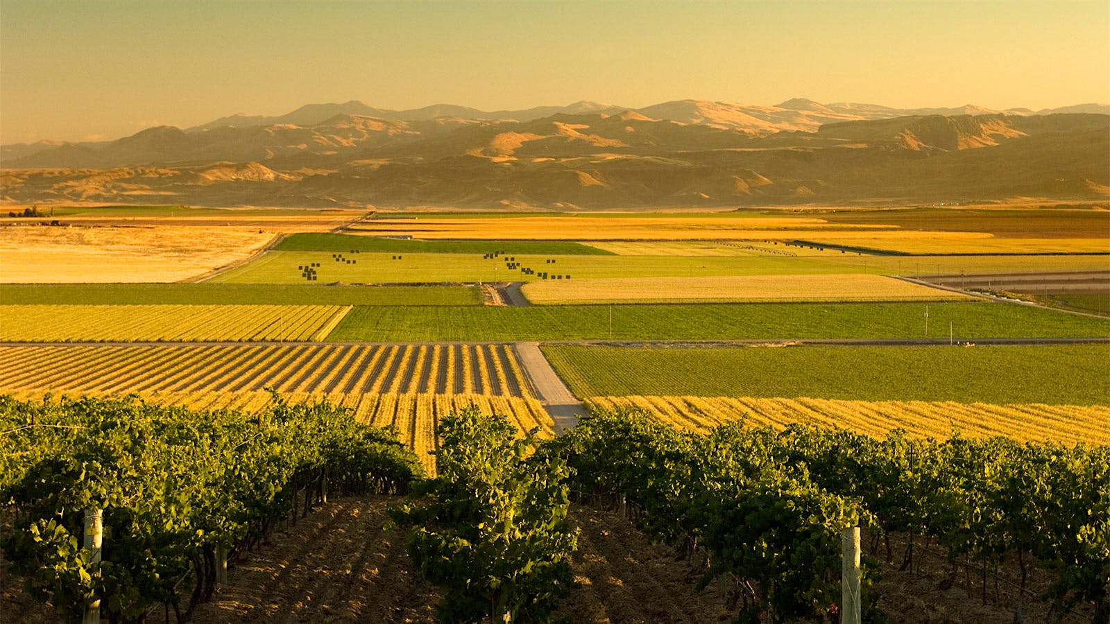 Quiz: Oregon, Washington … Idaho?