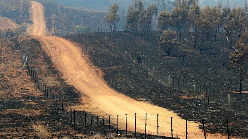 After the Fires, Australian Wineries Assess the Damage