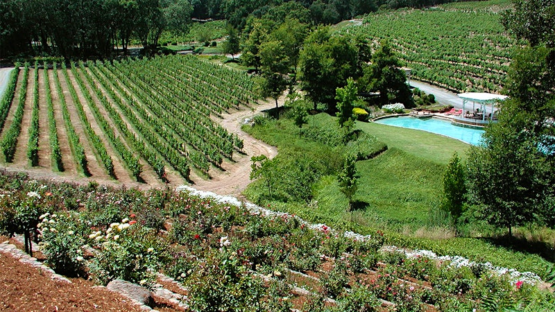 Roederer Champagne Owners Buy Napa's Diamond Creek