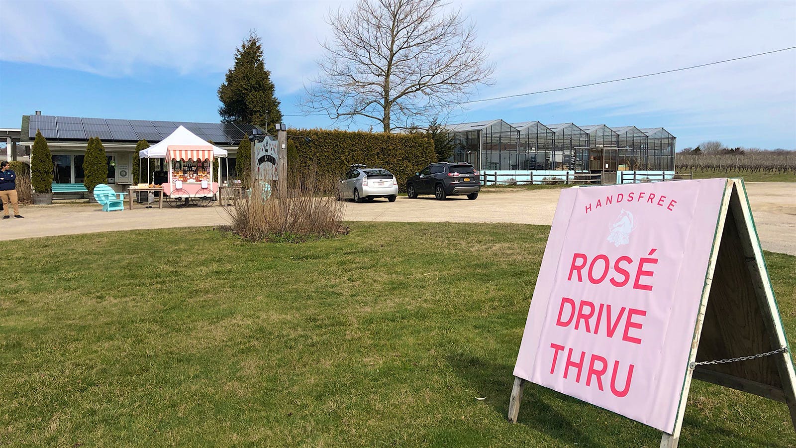 New York Wineries Feeling the Pinch of Coronavirus Crisis