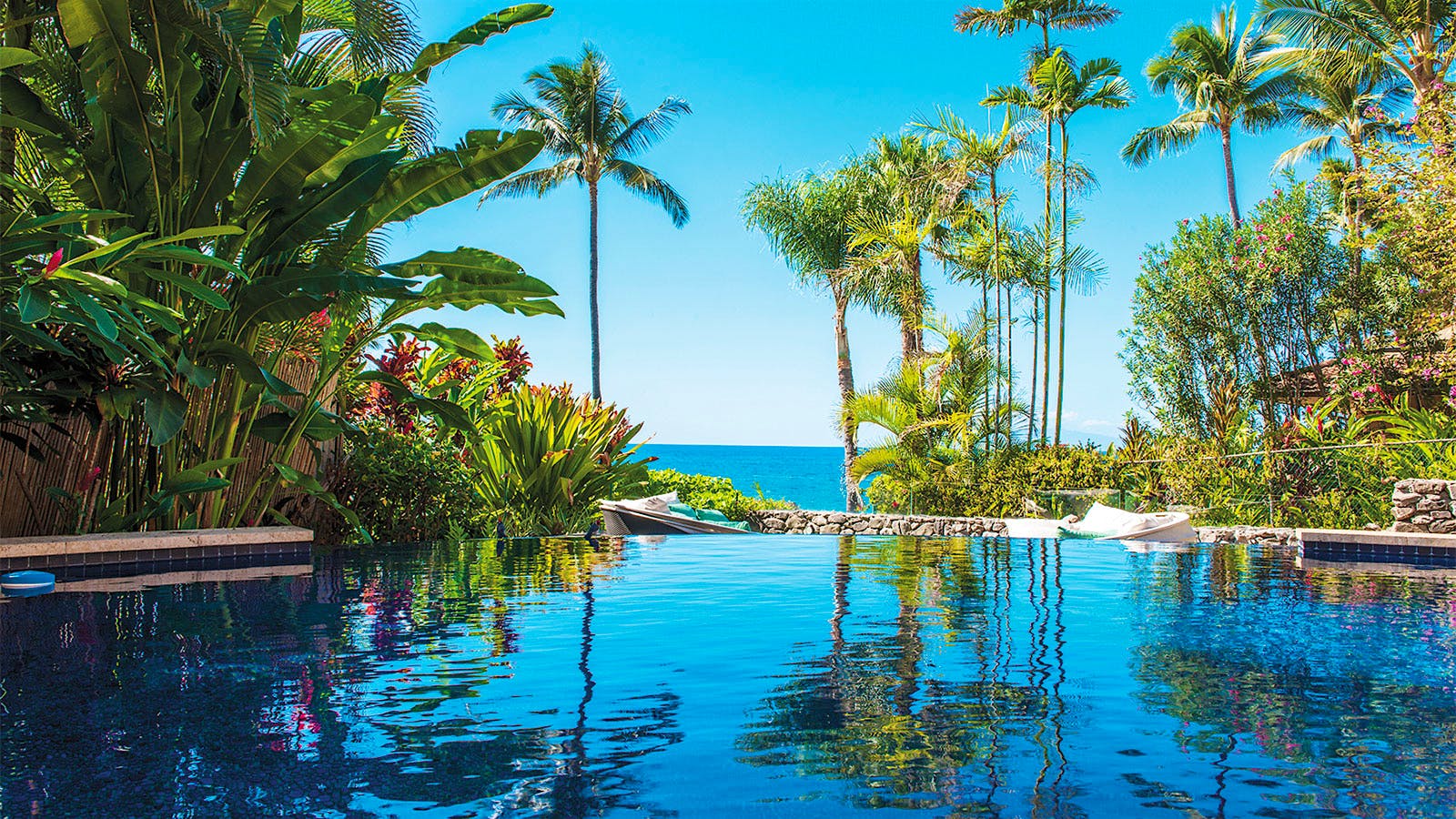 Infinity pool surrounded by tall palm trees and facing the Pacific Ocean