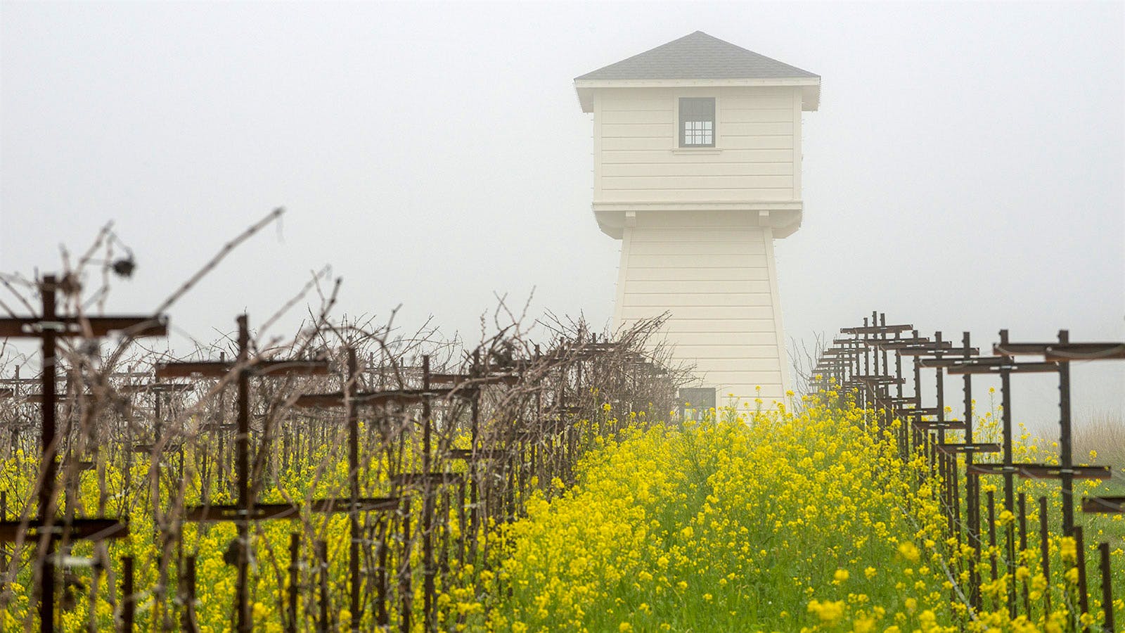 Water tower at Silver Oak's Alexander Valley winery