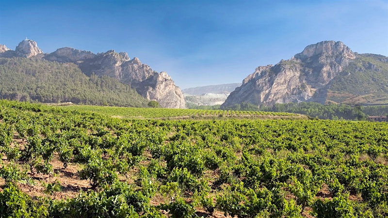 8 Vibrant Values from Rioja