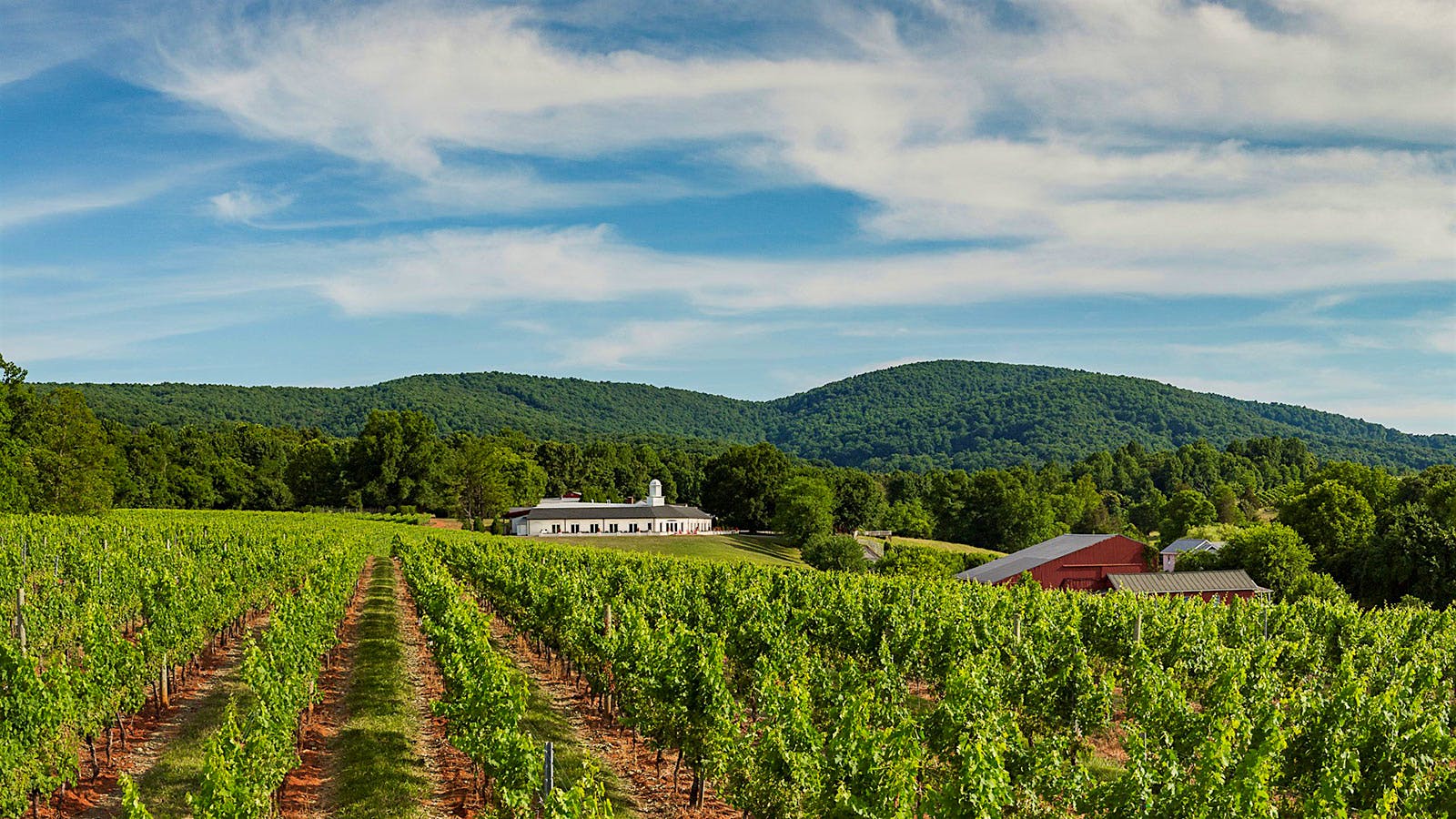 Barboursville Vineyards