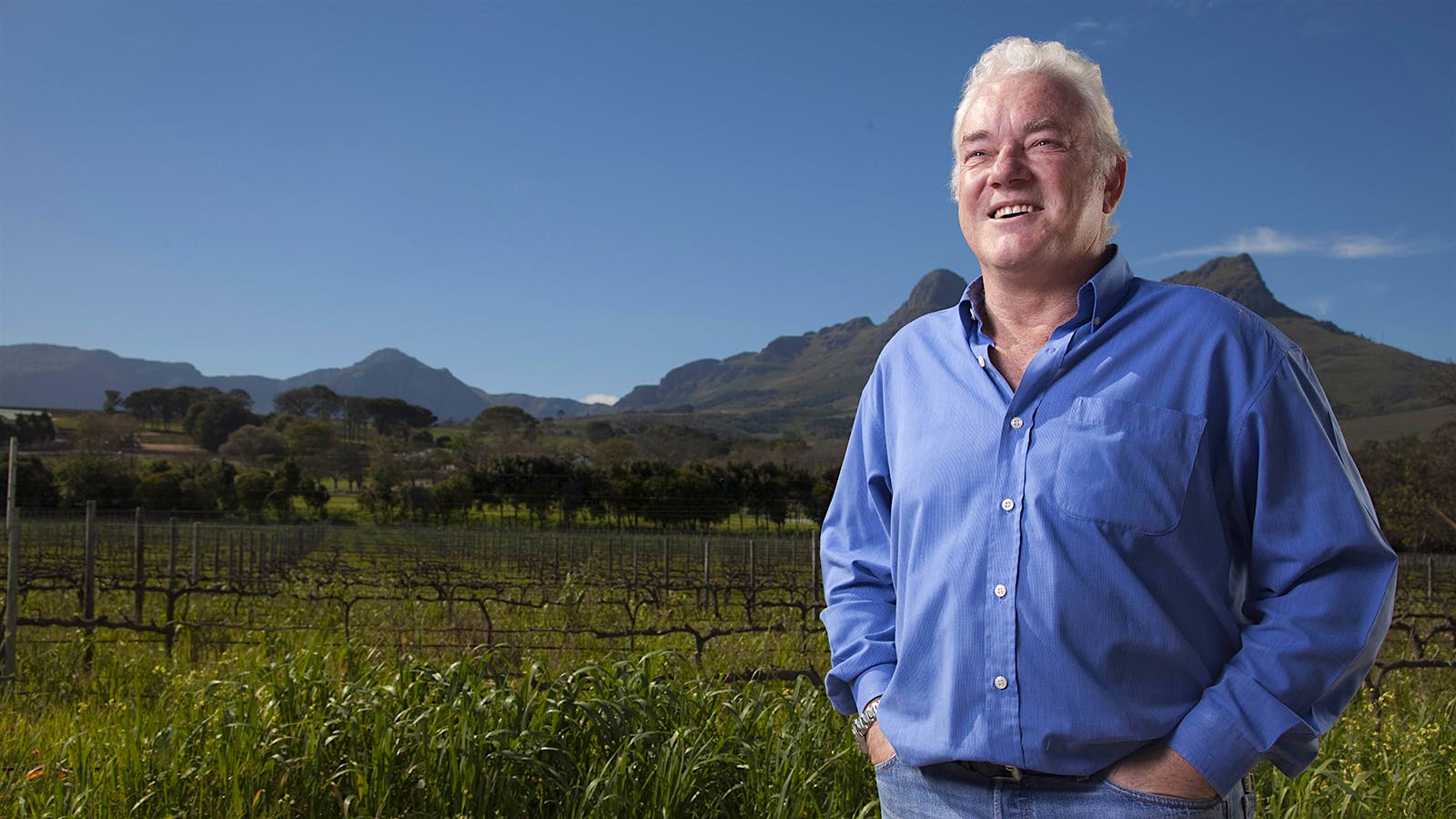 South African Wine's Whiplash Continues—Exports and Bottling Permitted Again