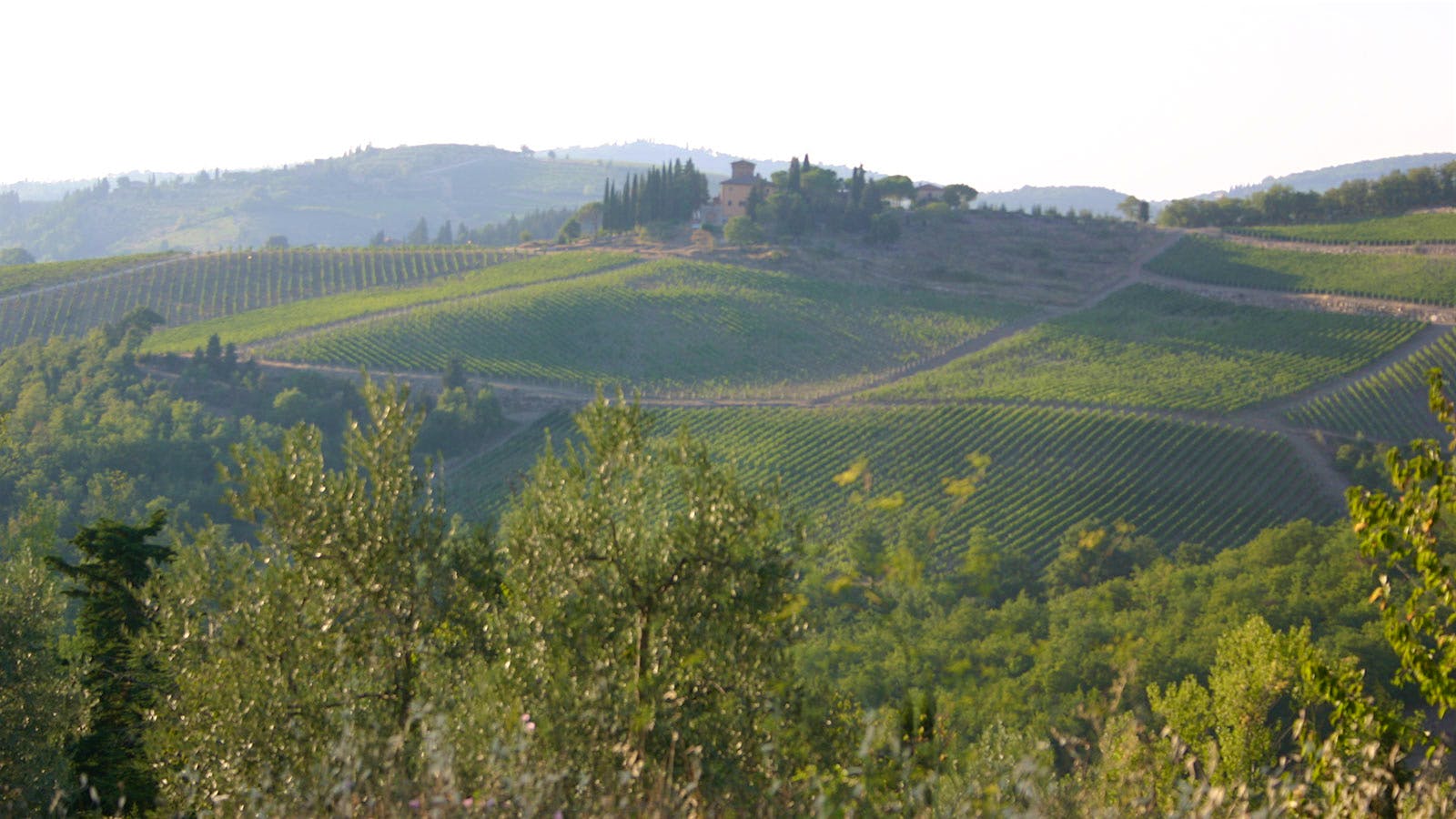 Chianti Classico’s Eccentric Aristocrat