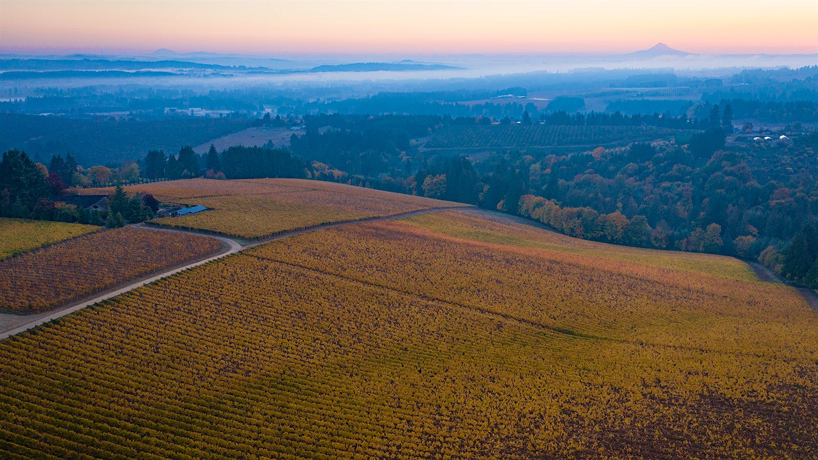 Oregon Gains Two Wine Appellations