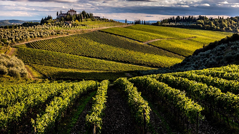 7 Food-Friendly Tuscan Reds at 90+ Points