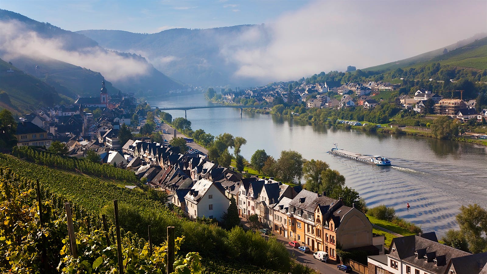 Quiz: Cool White Wines of Germany, Austria⁠ and Beyond