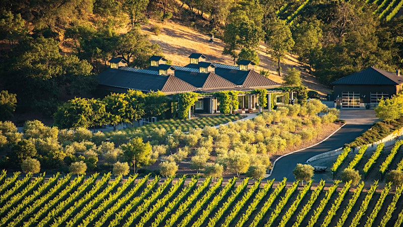 8 Refreshing Napa and Sonoma Sauvignon Blancs