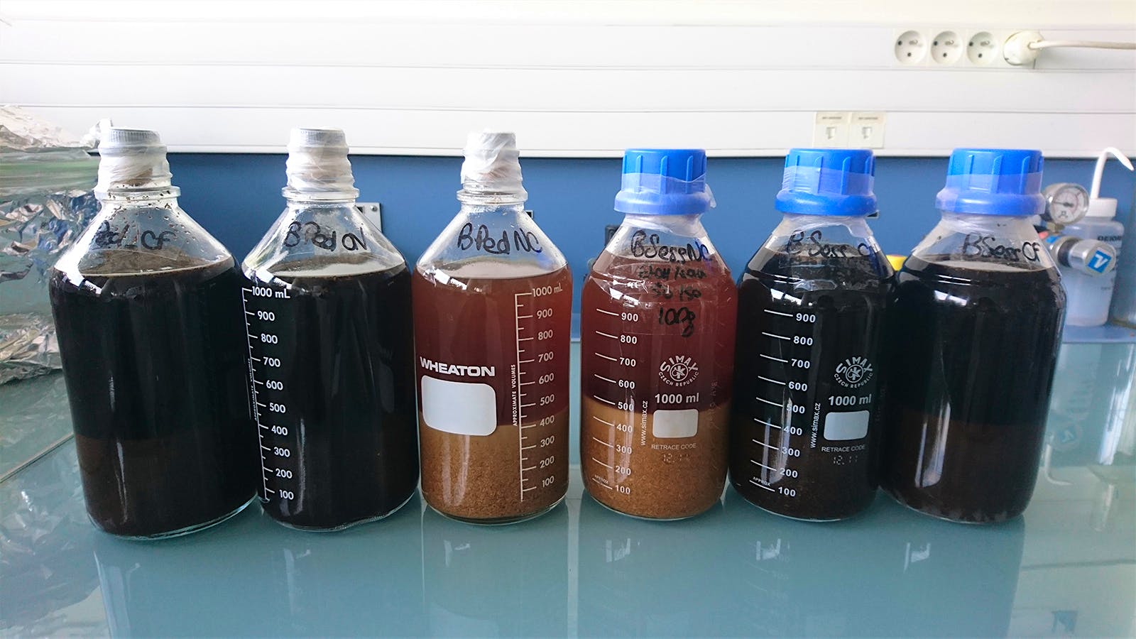 Oak samples for coumarin testing