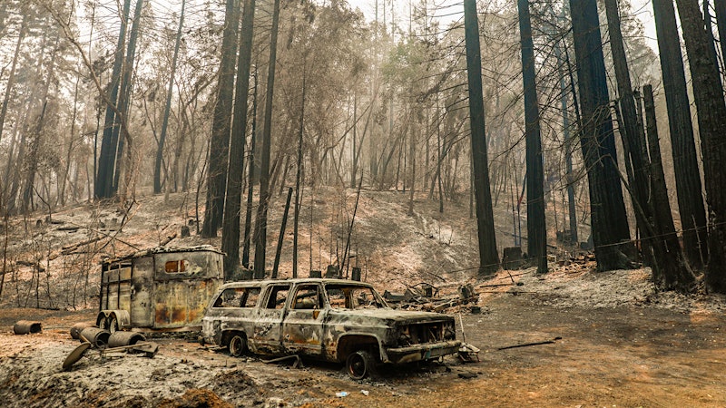 Harvest in a Time of Flames and Pestilence—Another Challenging California Vintage