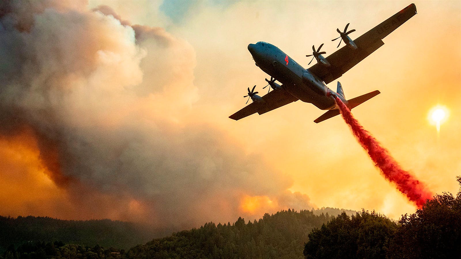 Los incendios forestales de Napa y Sonoma amenazan la cosecha de 2020 4 “Napa