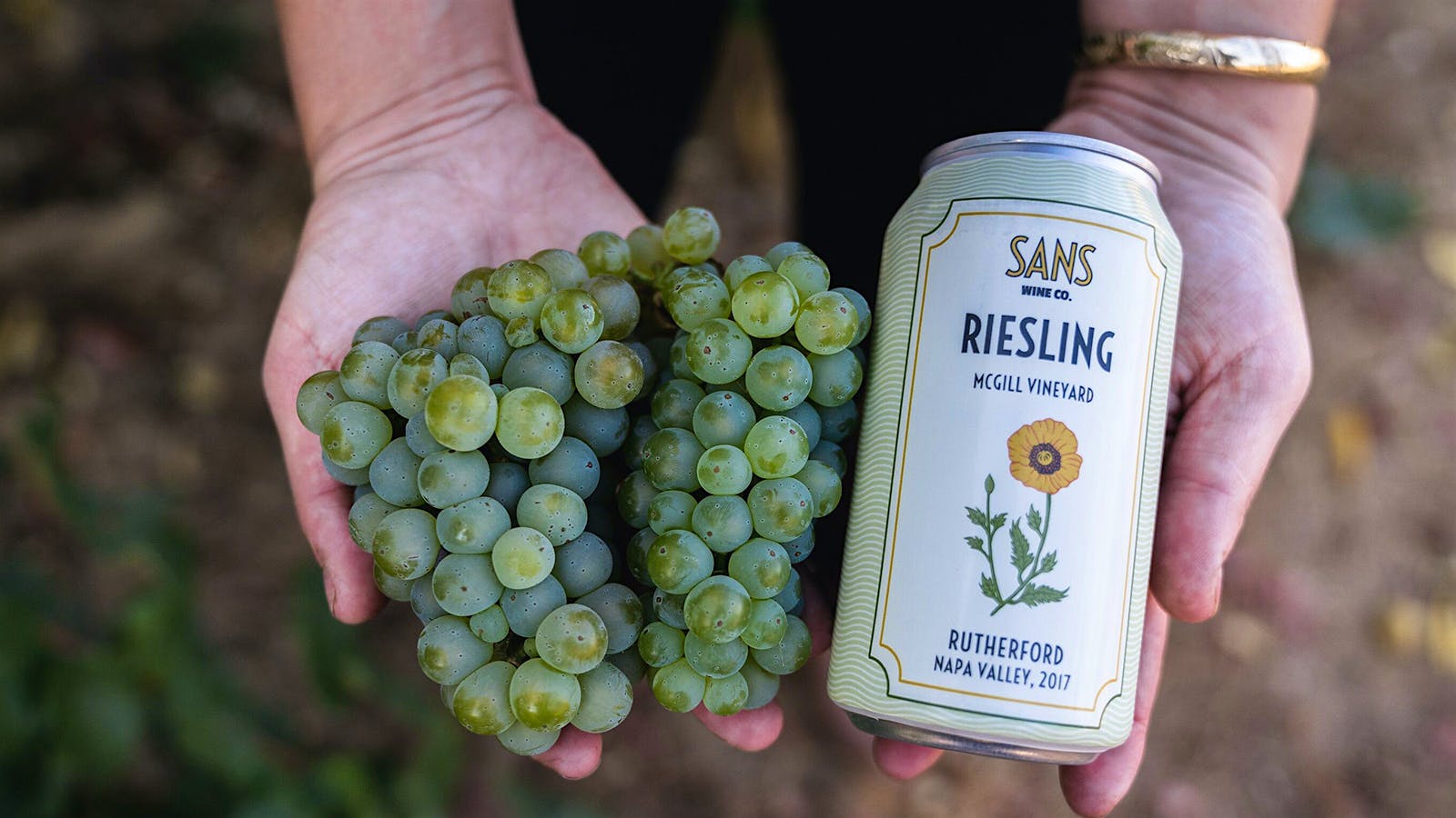 Top-Rated Pop-Tops: 15 Recommended Wines in Cans