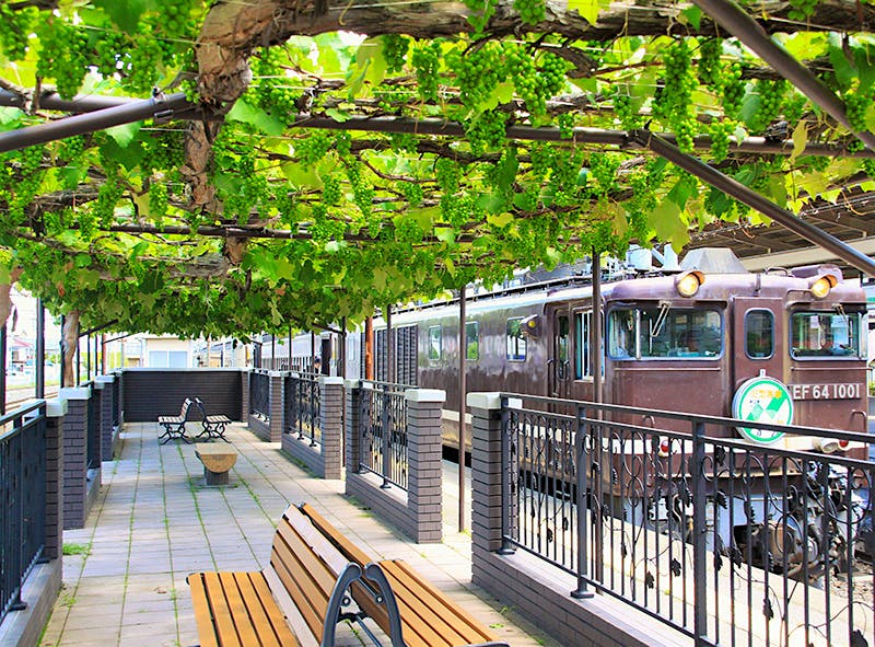 Trains and vines at the Shiojiri Station Platform Vineyard