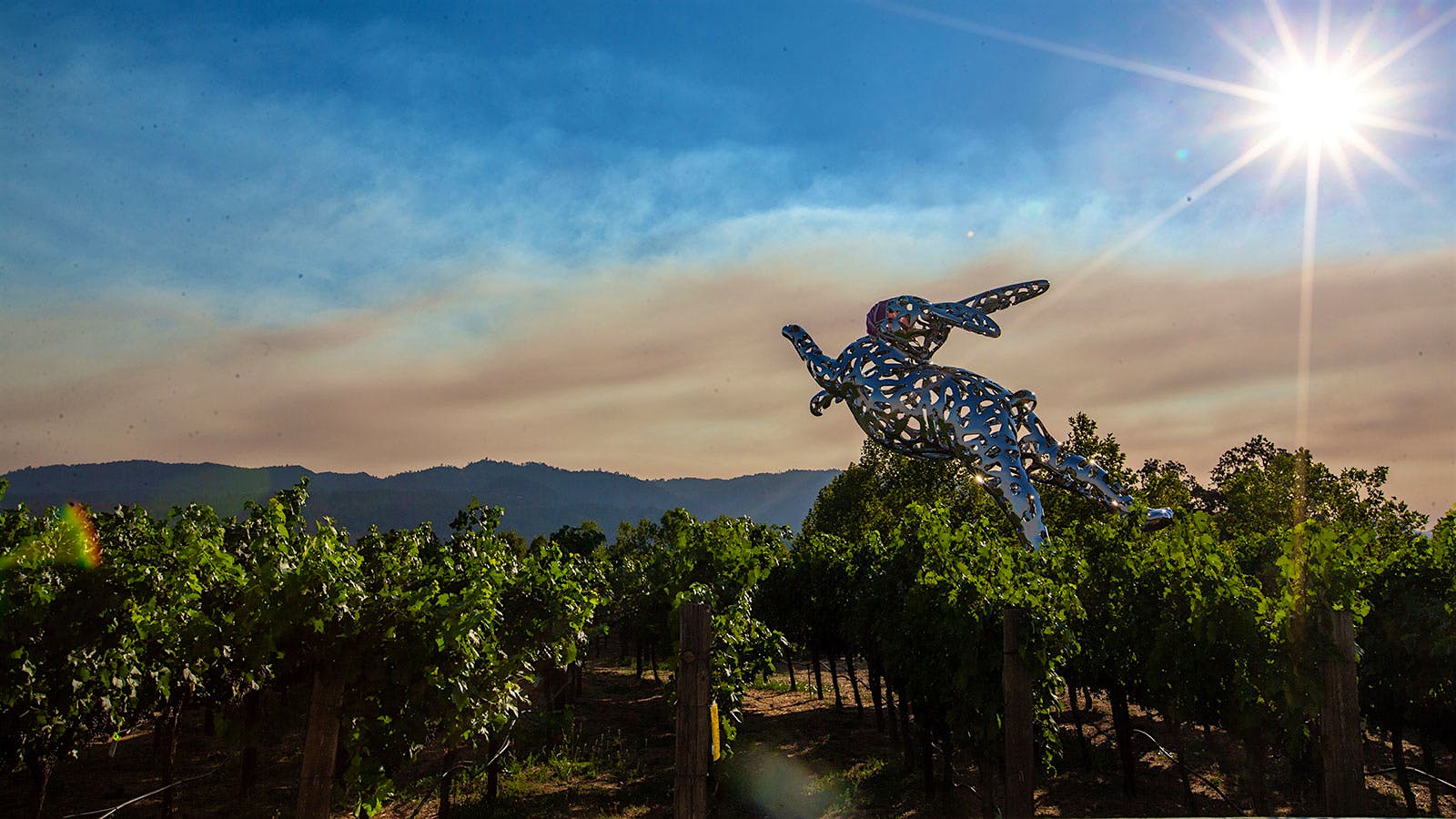 Smoke over Napa