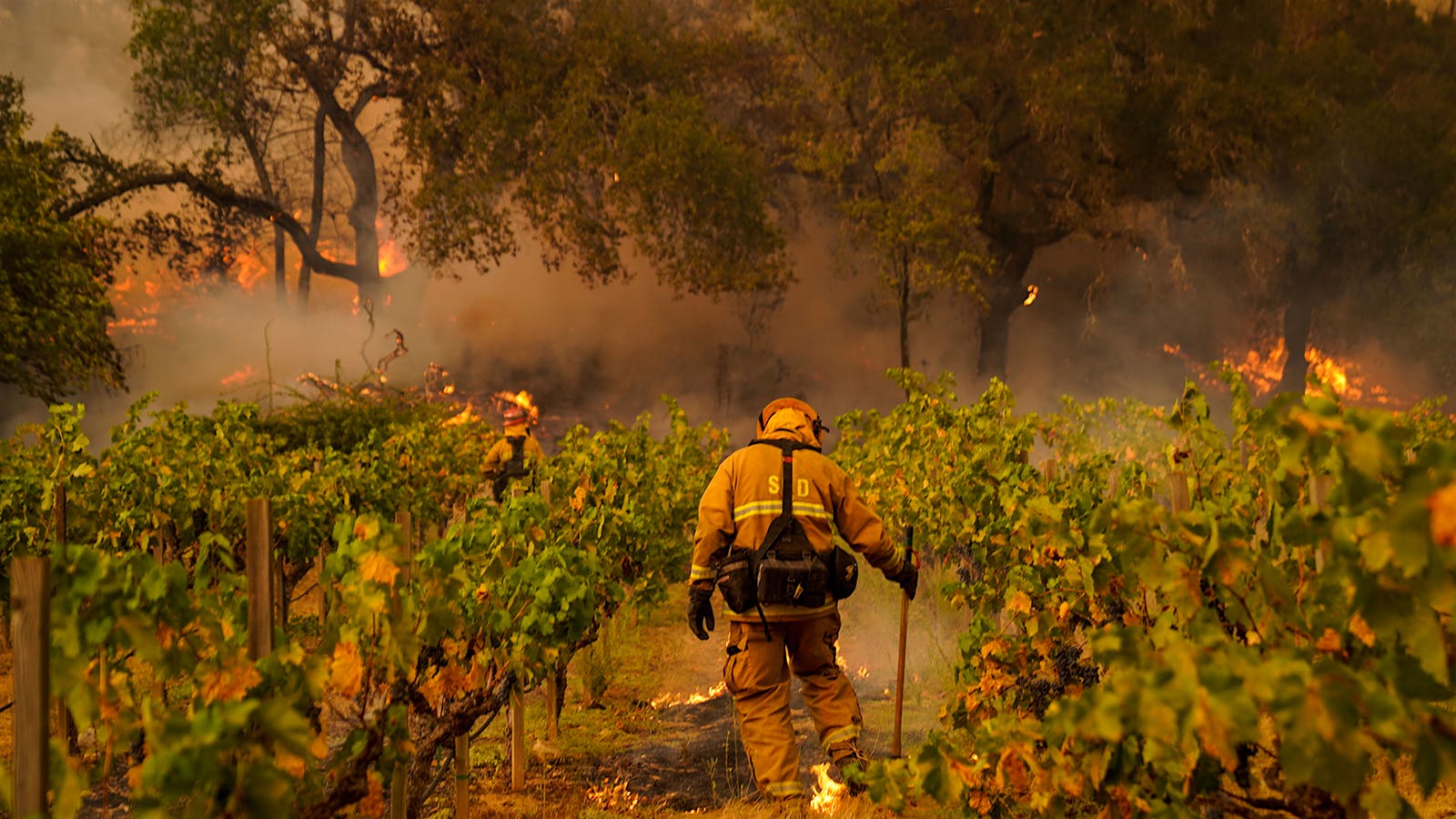firefighters