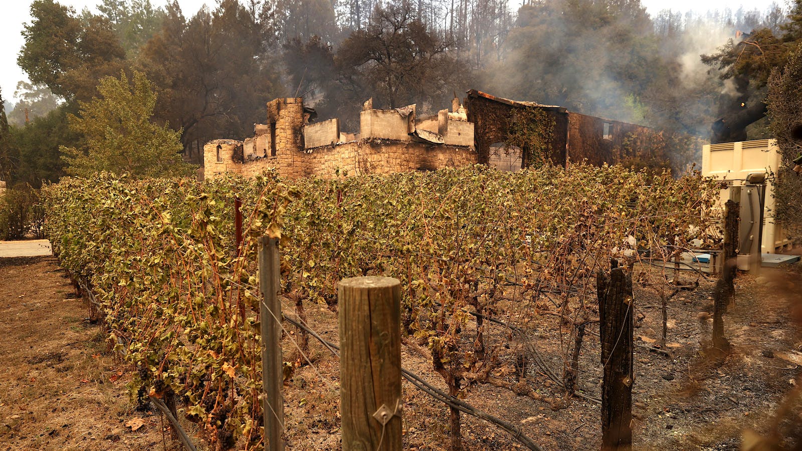 The fire-damaged stone walls and blackened vines at Château Boswell in St. Helena