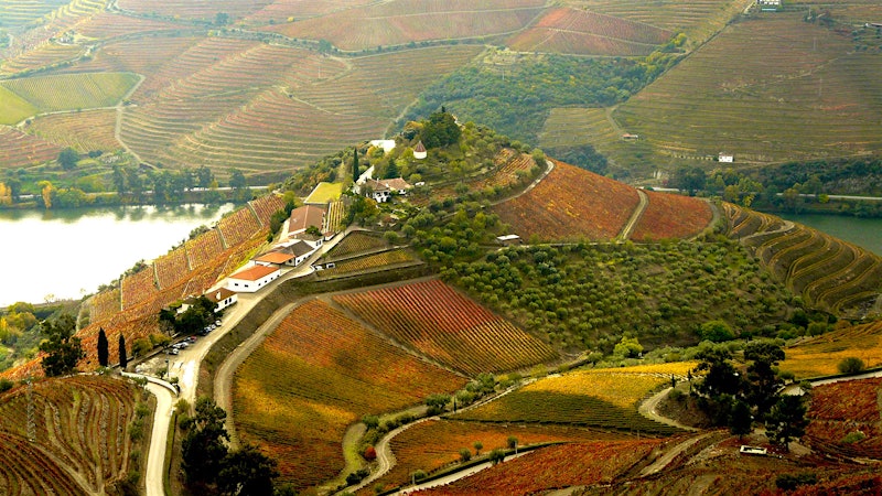 8 Distinct Portuguese Wines Up to 91 Points