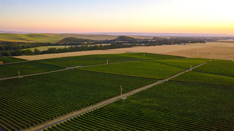 9 Hearty Washington Reds at 90+ Points