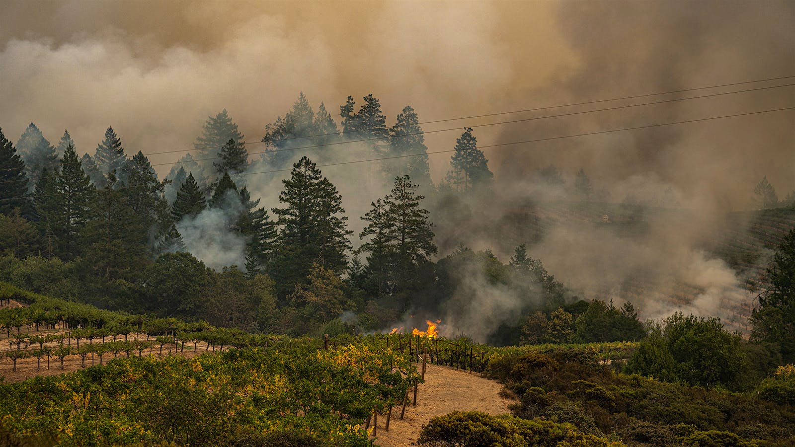 Spring Mountain still had spot fires