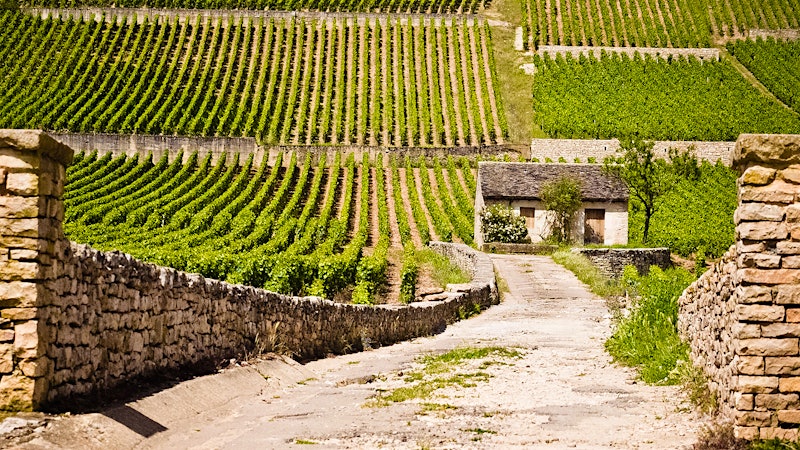 8 Satisfying Burgundy Values