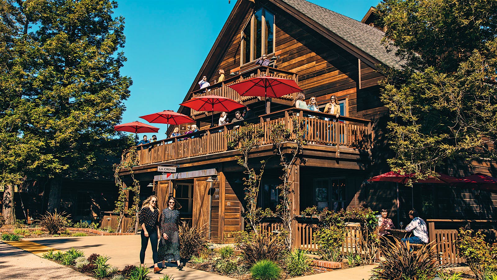 Tasting Highlights 13 Diverse Sonoma Value Wines for 40 or Less