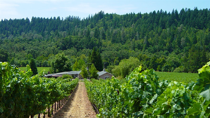 9 Winning Napa Merlots Up to 92 Points