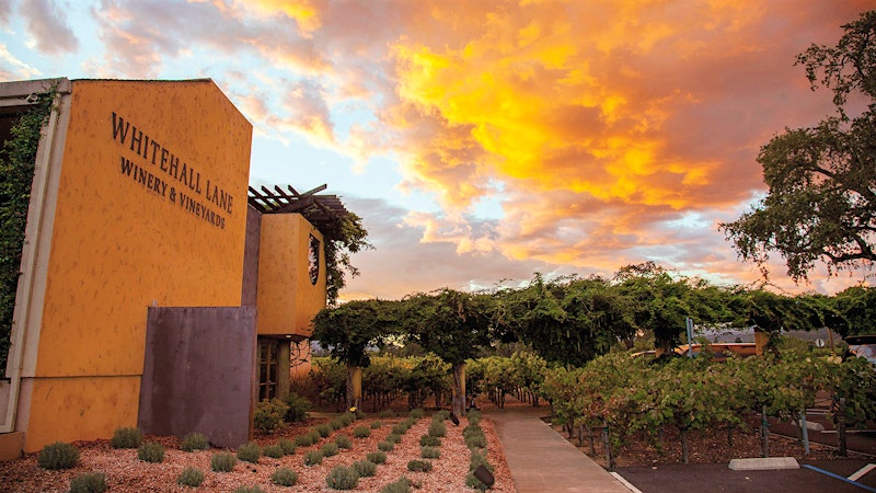10 Refreshing California Sauvignon Blancs Up to 91 Points