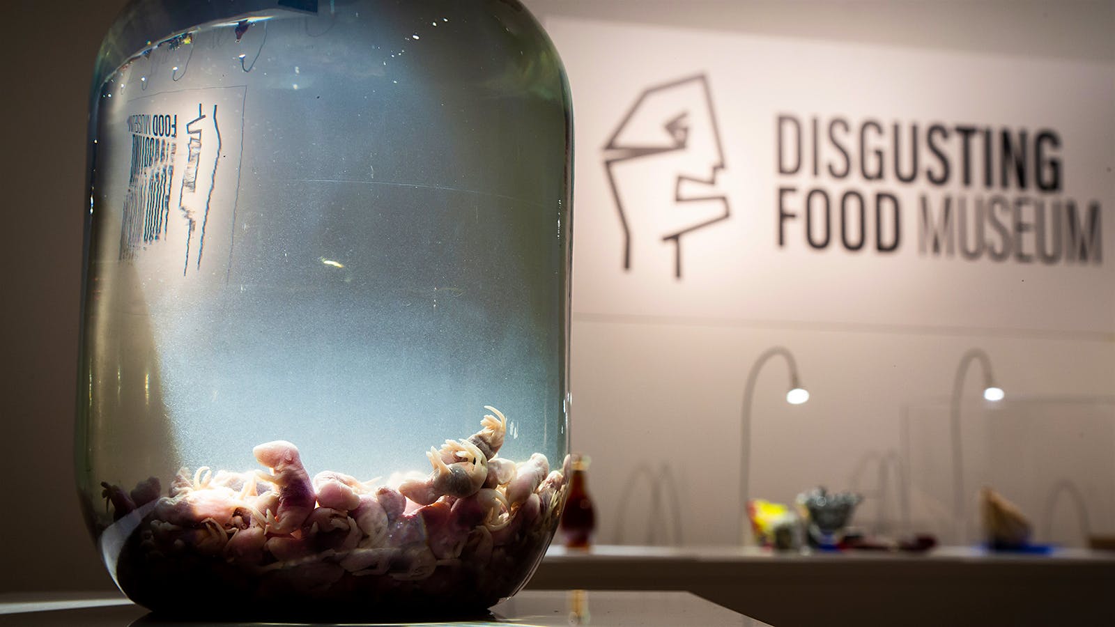 Display at the Disgusting Food Museum