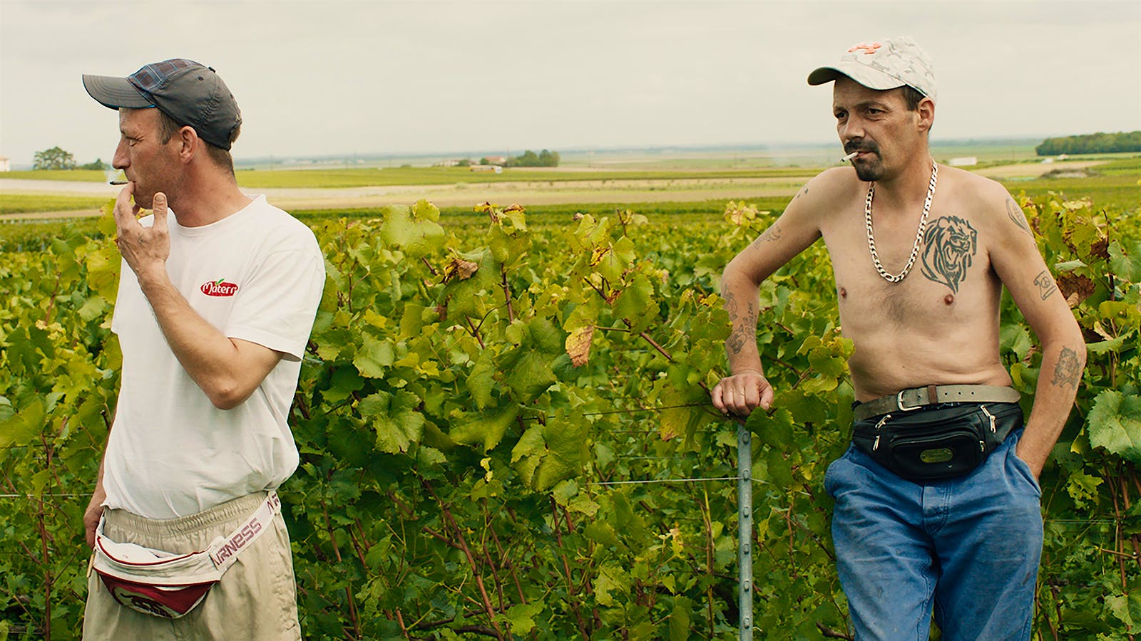 Workers smoking in the vineyard