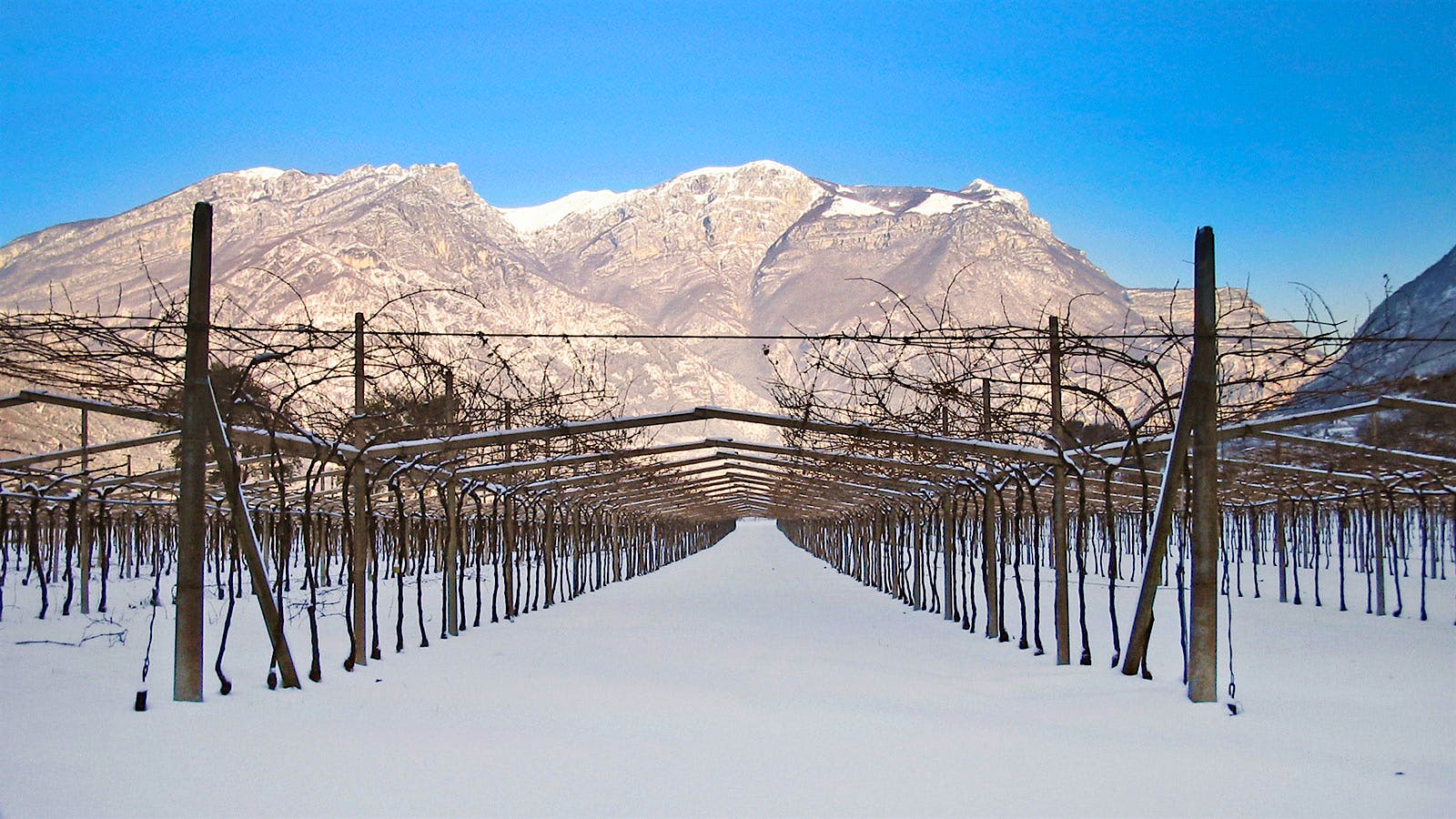 Under the Alps, Out of this World: A Northern Italy Quiz