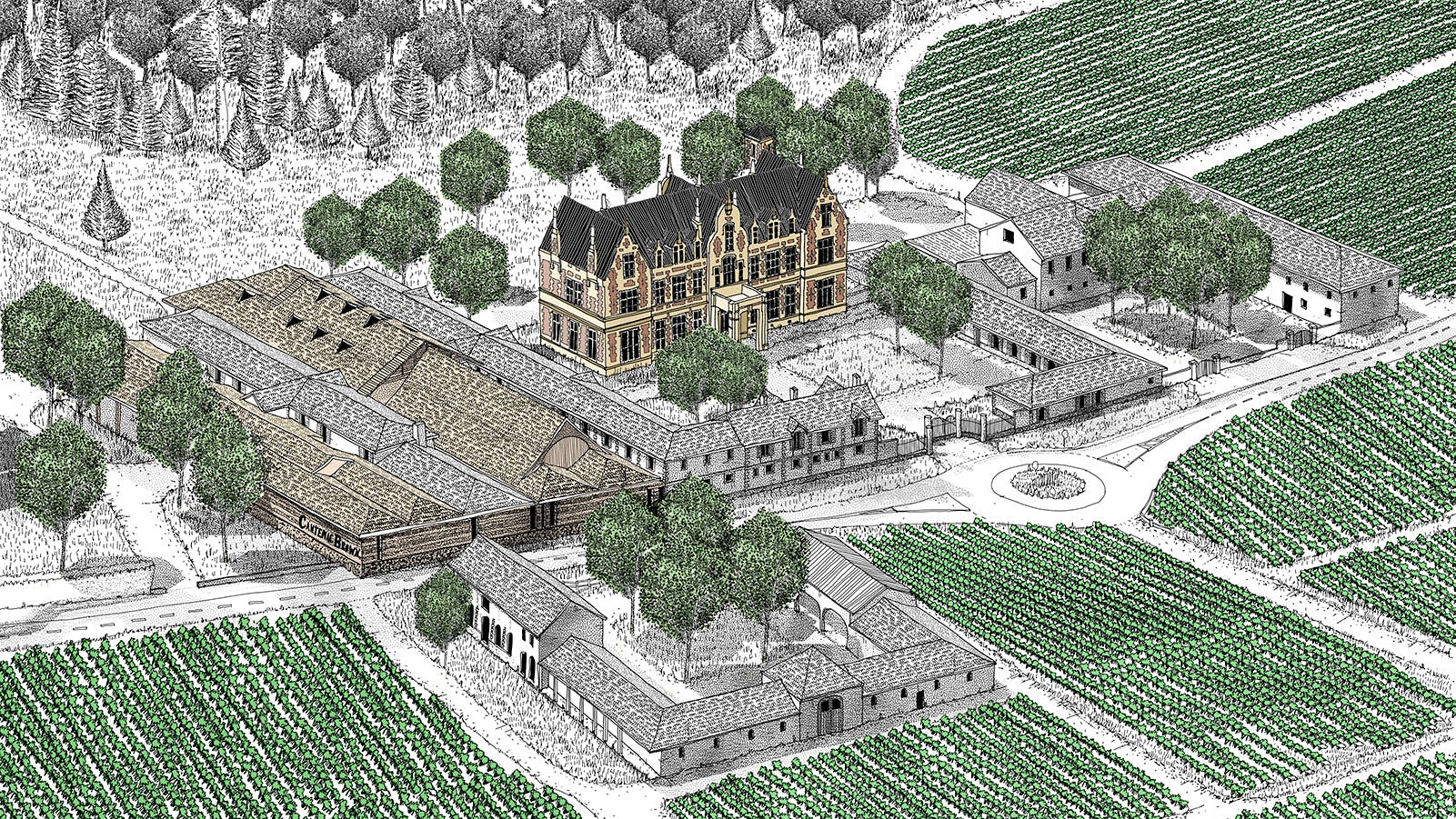 Cellar Design Sketch
