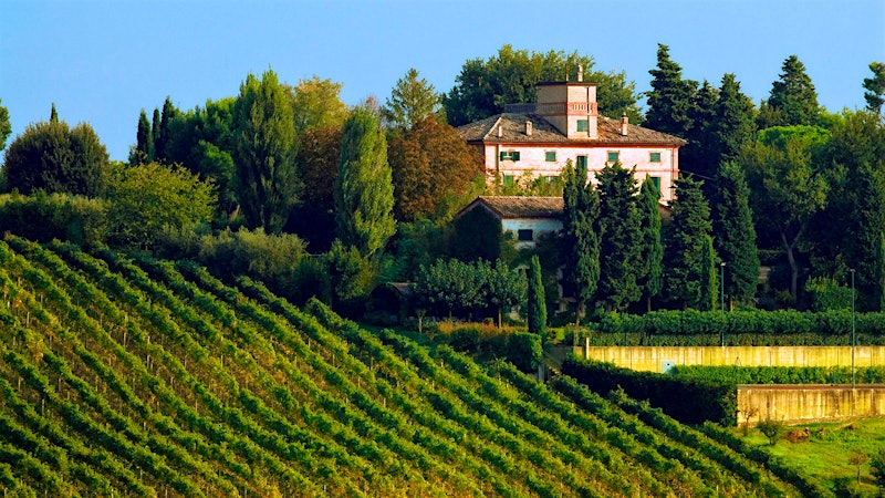 8 Refreshing Value Whites from Italy