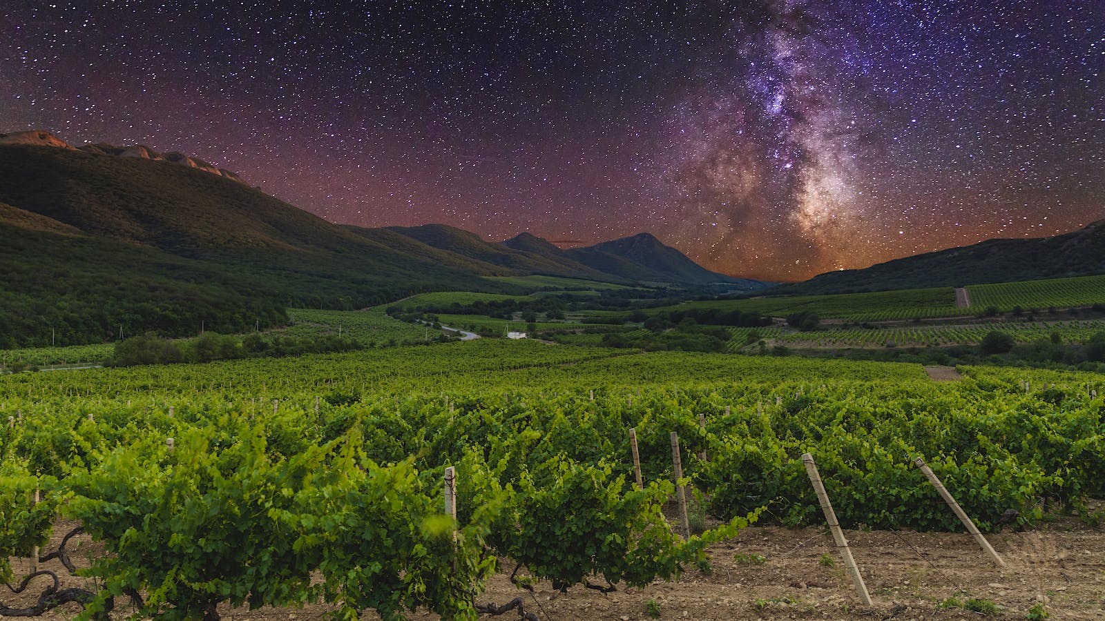 A Year in Space: Bordeaux Wine Splashes Down
