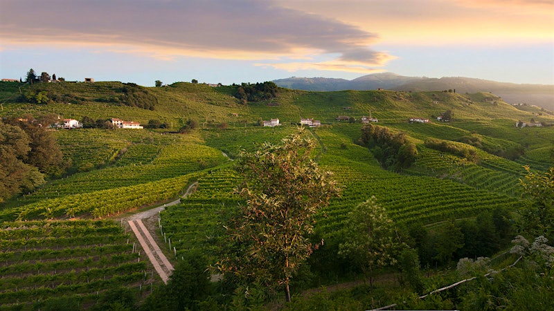 7 Alluring Proseccos for Valentine's Day