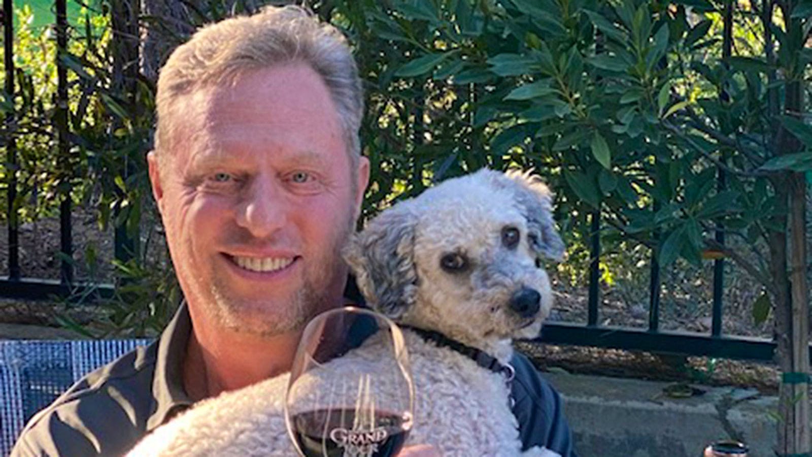 Image for the article titled: Zeus the Mini Goldendoodle