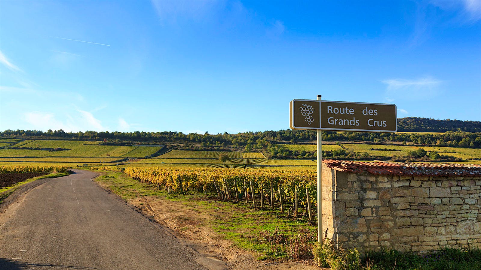 Quiz: Top Vineyards Worldwide