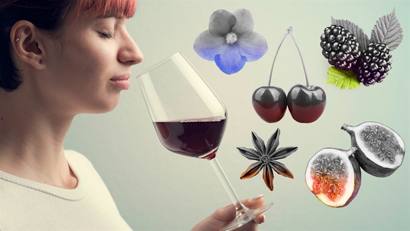 COVID-19’s Impact on Our Senses