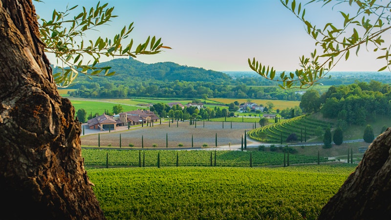 Italy's Antinori Buys Majority Stake in Friuli Winery Jermann