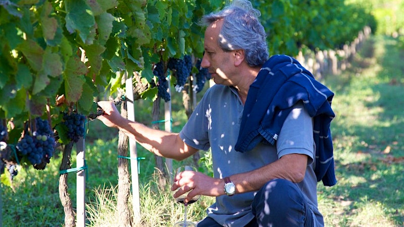 Southern Italy’s Wine Professor