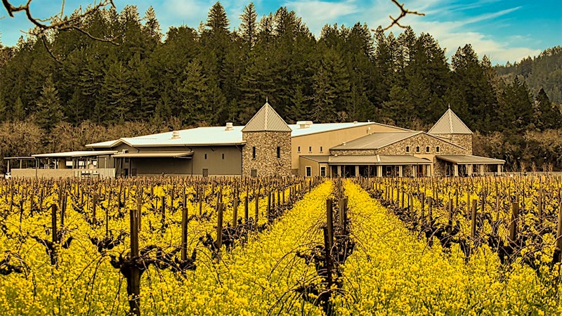 11 Enticing Napa Cabernet Sauvignons for $50 or Less
