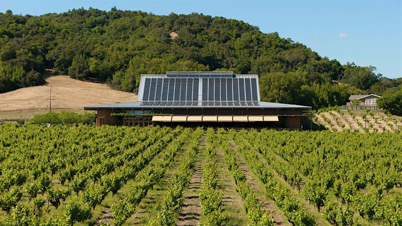 9 Outstanding Napa and Sonoma Reds