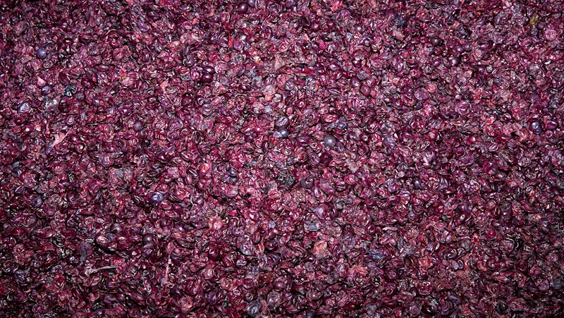 A Second Life for Winemaking's Leftover Grape Skins