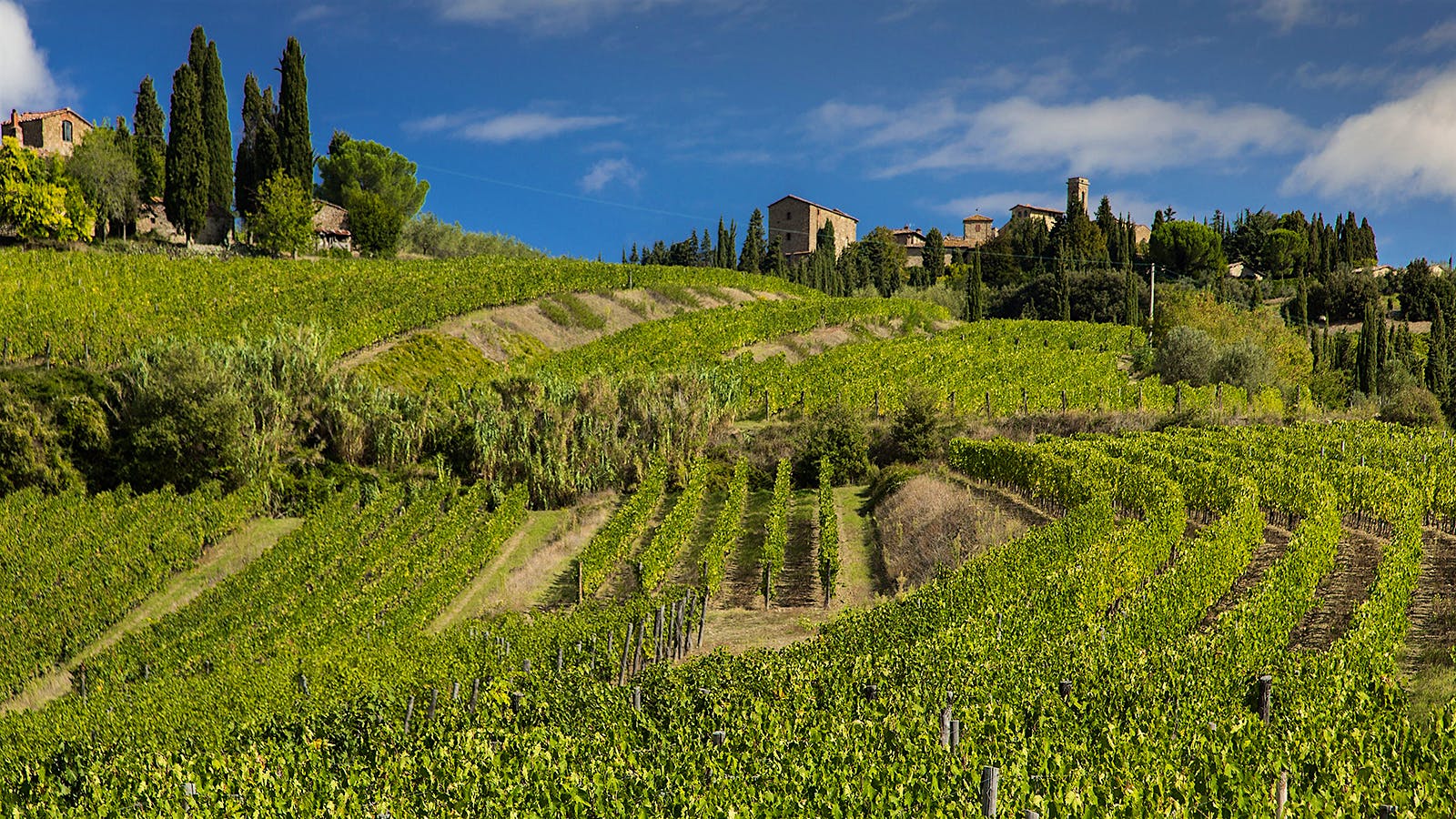 8 Delectable Chianti Classicos Up to 92 Points