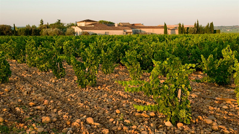 8 Côtes du Rhône Values Up to 90 Points