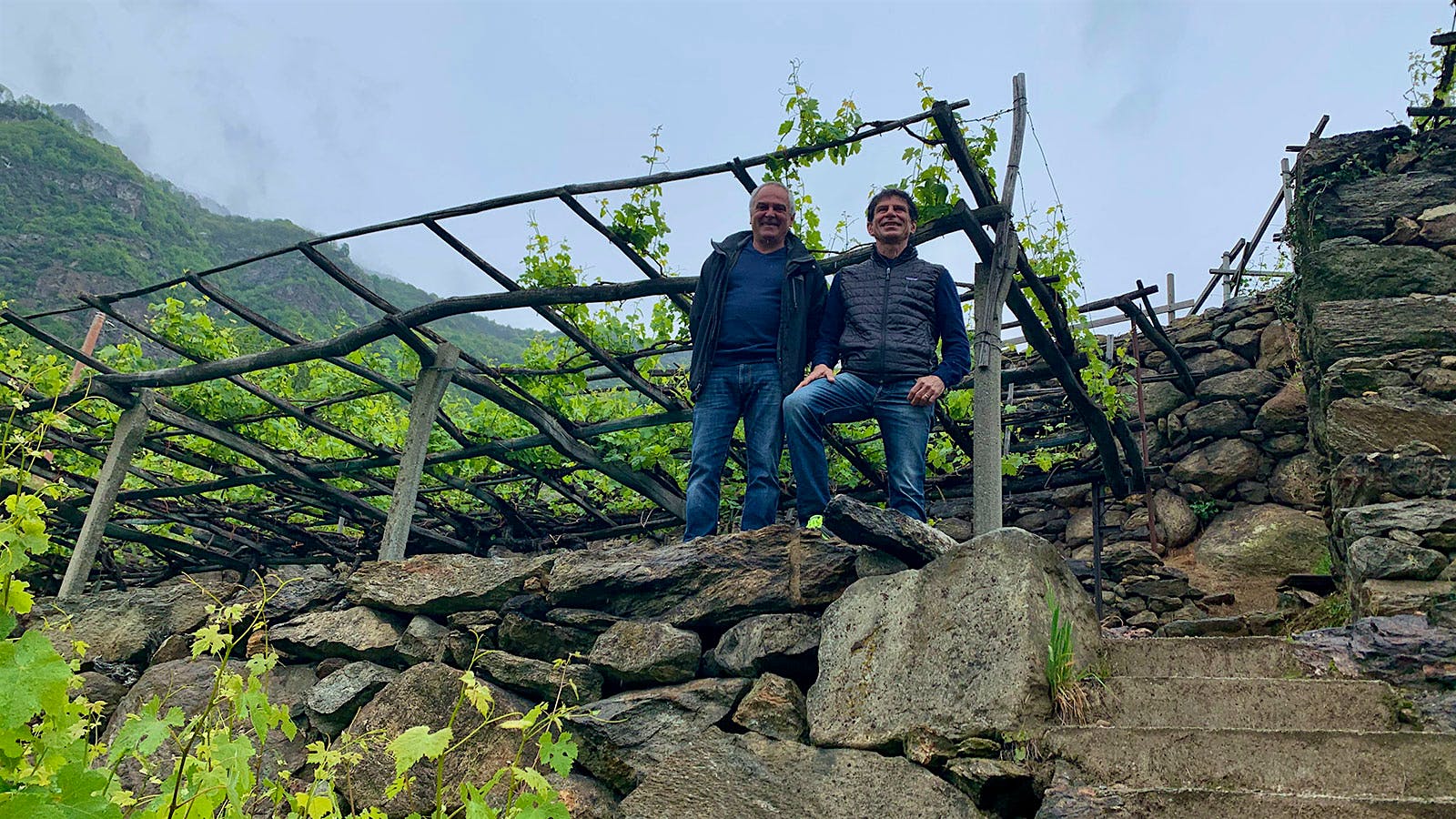 Ferrando winery owners Andrea and Robert Ferrando on a rock terrace wall in front of pergola-trained Nebbiolo vines