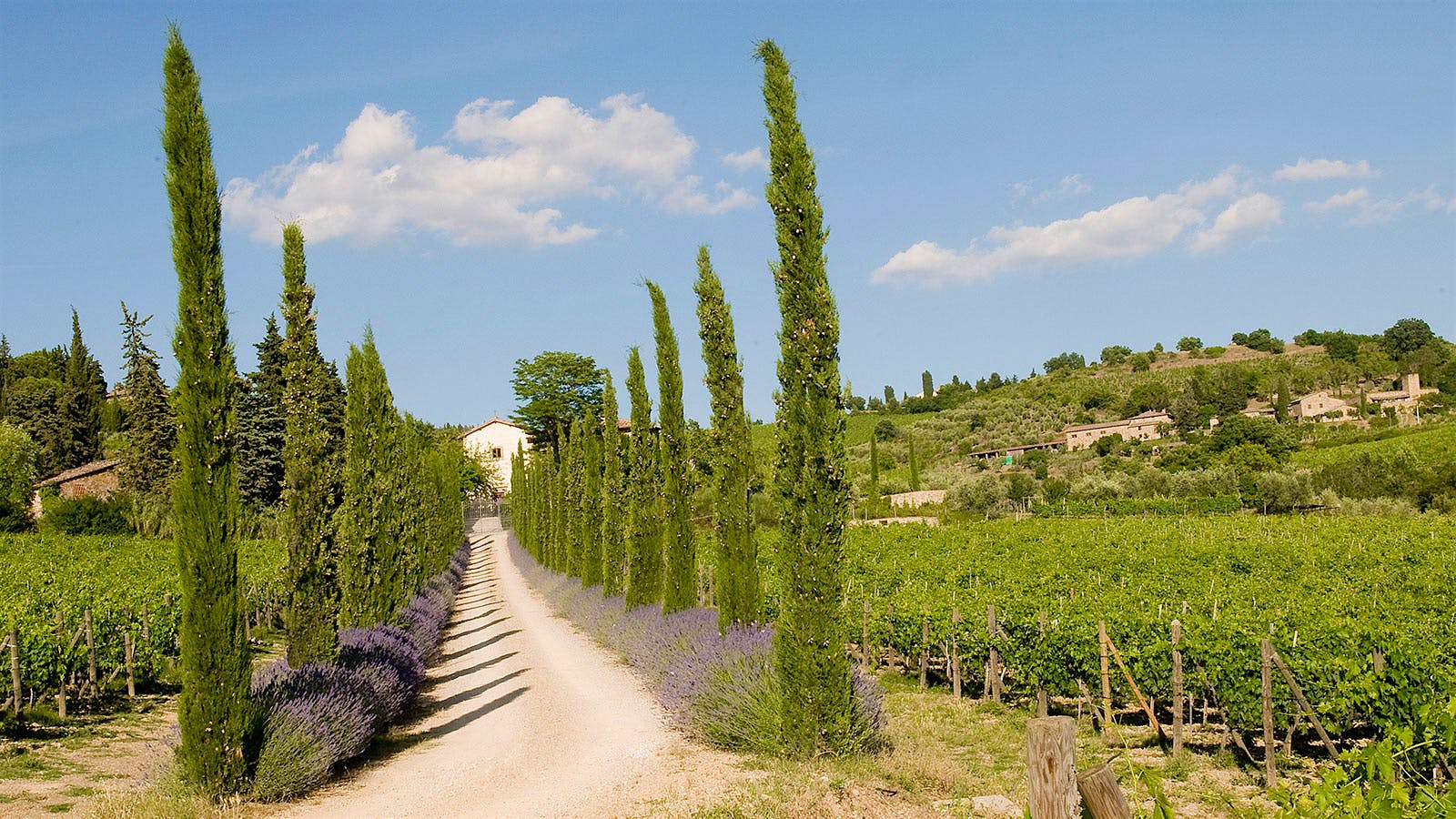 9 Outstanding Chianti Classicos for $25 or Less