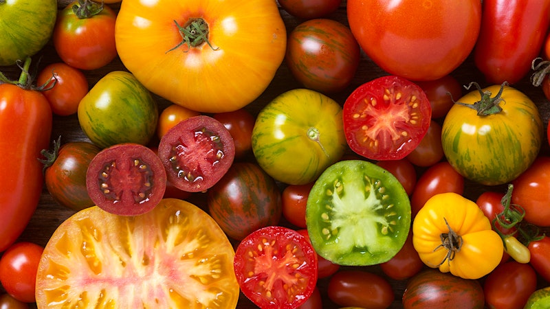 5 Favorites: Late-Summer Tomatoes