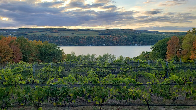 8 Alluring Finger Lakes Rieslings for $20 or Less